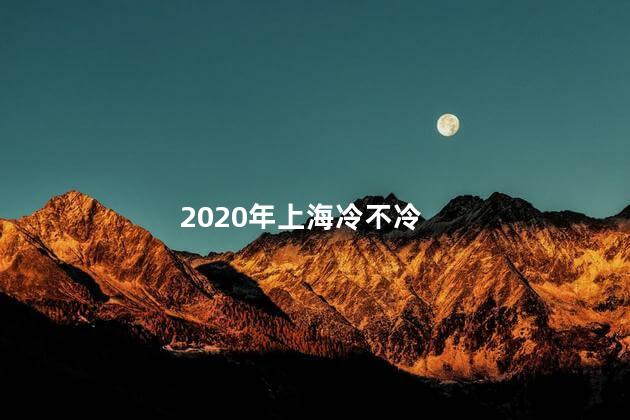 2020年上海冷不冷 2023年上海冬天冷吗