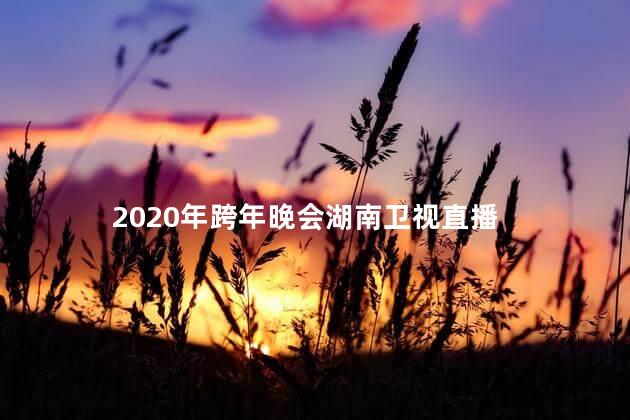 2020年跨年晚会湖南卫视直播 2023跨年晚会肖战在哪个台播出