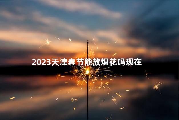 2023天津春节能放烟花吗现在 今年春节天津能放炮吗