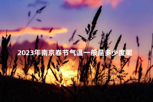 2023年南京春节气温一般是多少度呢 南京春节可以放烟花吗