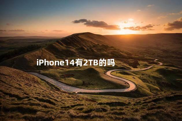 iphone14的运行内存 iPhone14有2TB的吗